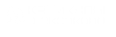 Каникулы в Аксаково